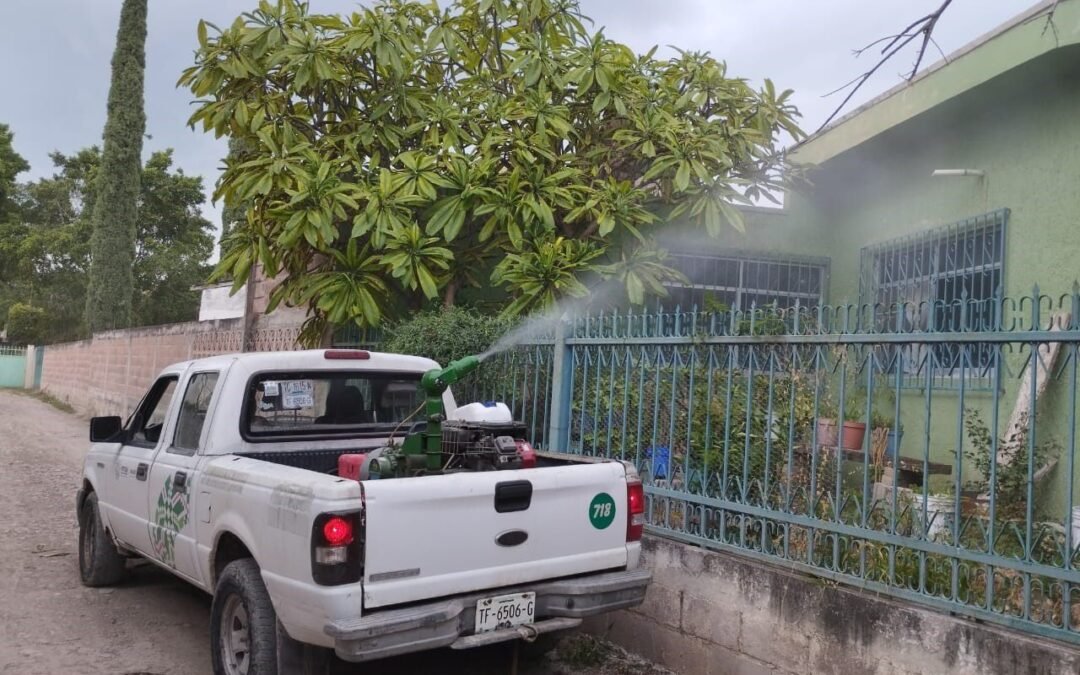 EL DÍA MUNDIAL DEL MOSQUITO, BUSCA CREAR CONCIENCIA SOBRE ENFERMEDADES POR VECTORES