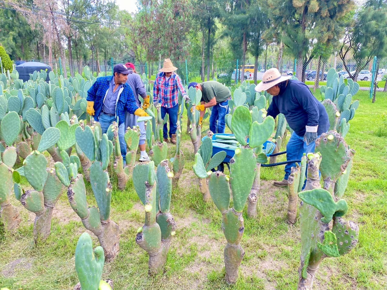 CAMPO POTOSINO CRECE SIN LÍMITES DURANTE 2025