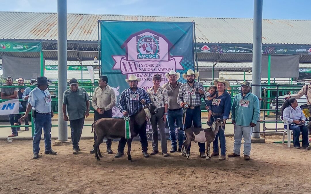 IMPULSA GOBIERNO ESTATAL LA CAPRINOCULTURA SIN LÍMITES