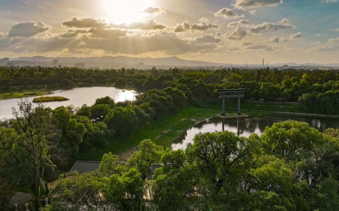 PARQUE TANGAMANGA CELEBRA ANIVERSARIO COMO EL CORAZÓN VERDE DE SAN LUIS
