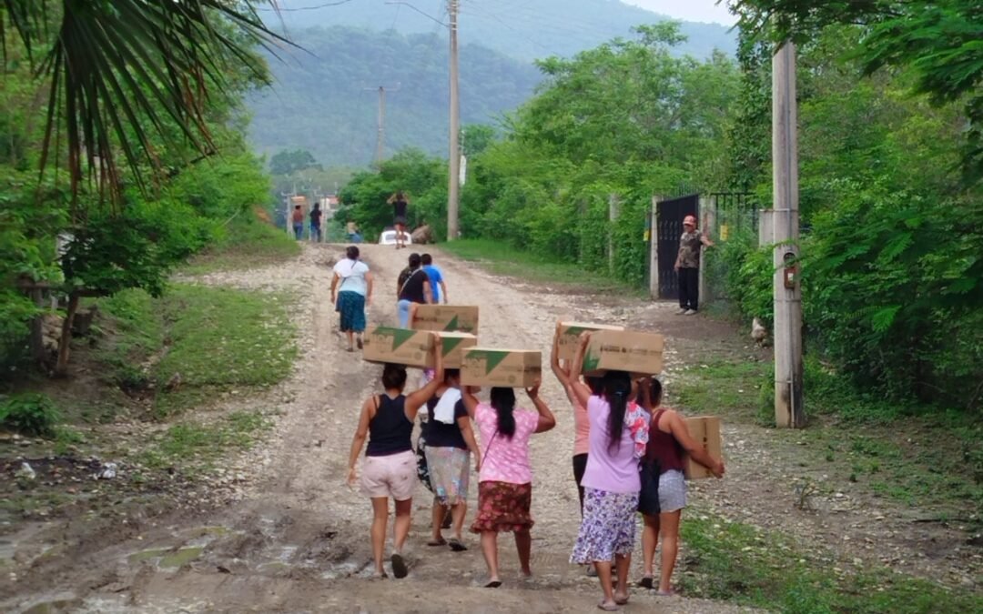 MÁS DE 550 MIL HOGARES POTOSINOS RECIBEN PROGRAMA SEGURIDAD ALIMENTARIA