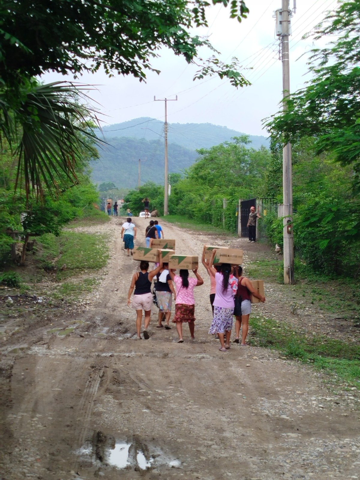 MÁS DE 550 MIL HOGARES POTOSINOS RECIBEN PROGRAMA SEGURIDAD ALIMENTARIA