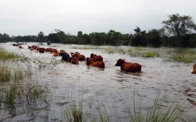 GOBIERNO ESTATAL REFRENDA APOYO AL CAMPO POTOSINO TRAS LLUVIAS