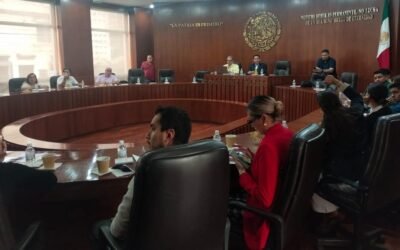 AVANZA ANÁLISIS DE REESTRUCTURA EN CARTOGRAFÍA ELECTORAL