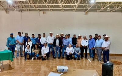 CONTROL DE PLAGAS Y VIGILANCIA CONSTANTE EN CULTIVOS POTOSINOS