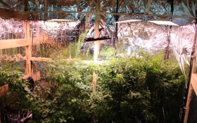 ESTUDIANTES DESARROLLAN INNOVADOR SISTEMA DE CULTIVO DE PRECISIÓN