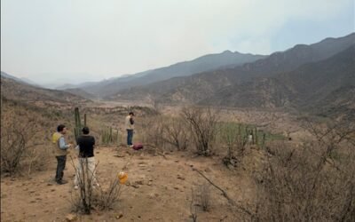 INVESTIGADORES TRANSFORMAN ESPECIES INVASORAS EN SOLUCIONES AMBIENTALES