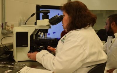 LESP FORTALECE VIGILANCIA SANITARIA CON MÁS DE 5 MIL ANÁLISIS DE AGUA Y ALIMENTOS