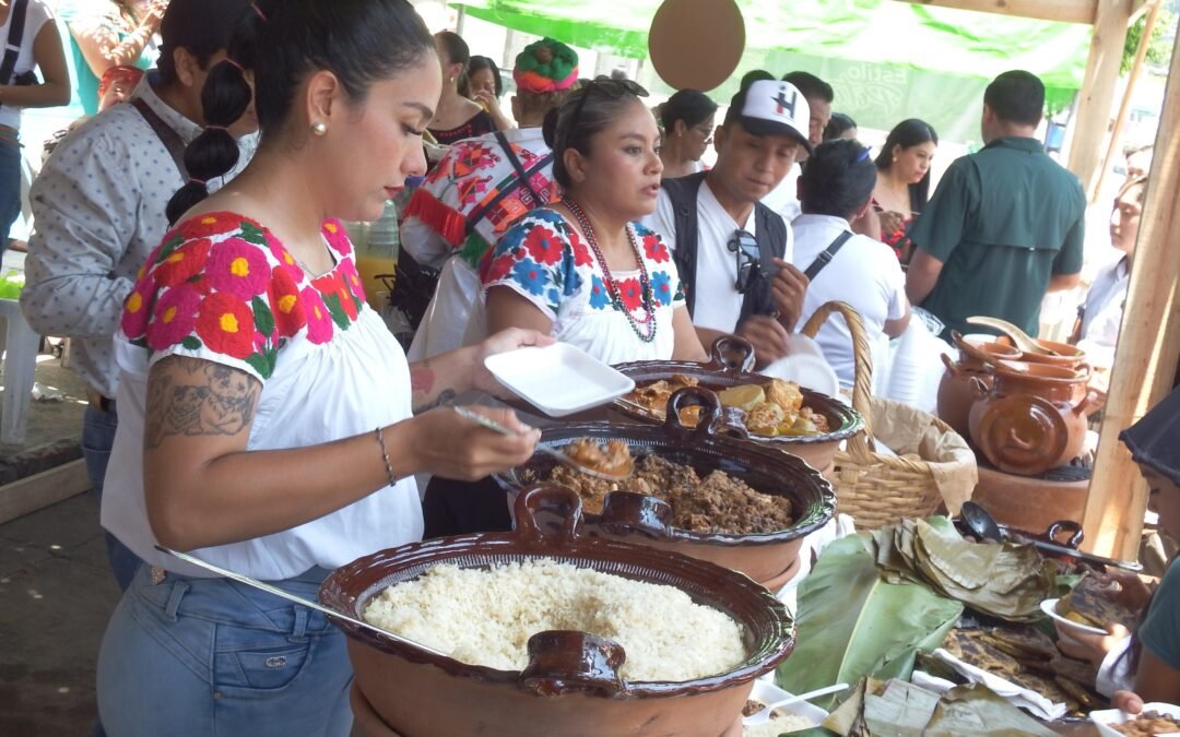DESARROLLO INTEGRAL Y MOVILIDAD PARA PUEBLOS ORIGINARIOS