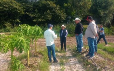 AVANZA CENSO DE DAÑOS POR INUNDACIONES EN LA HUASTECA