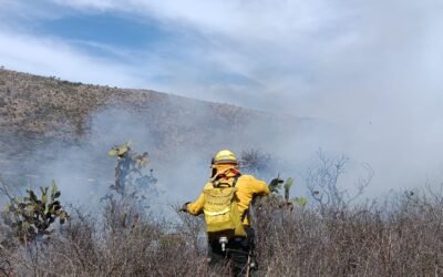 FORTALECEN ESTRATEGIA ESTATAL CONTRA INCENDIOS FORESTALES
