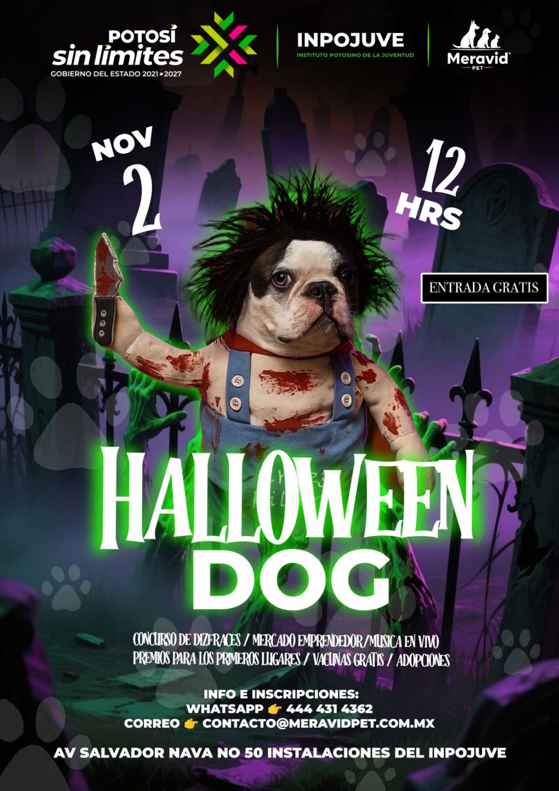 GOBIERNO ESTATAL ORGANIZA FIESTA DE DISFRACES CANINA EN EL INPOJUVE