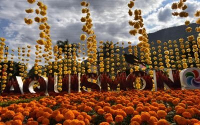 XANTOLO REVIVE LA HUASTECA CON COLOR, MÚSICA Y TRADICIÓN