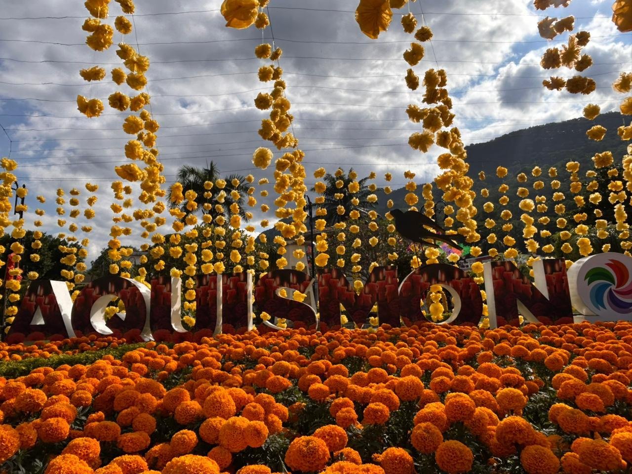 XANTOLO REVIVE LA HUASTECA CON COLOR, MÚSICA Y TRADICIÓN