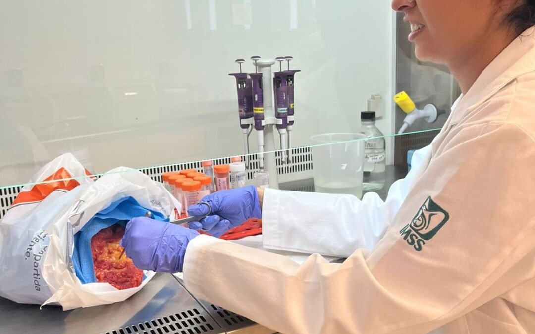 CIENCIA POTOSINA IMPULSA AVANCES CLAVE EN SALUD CARDIOVASCULAR