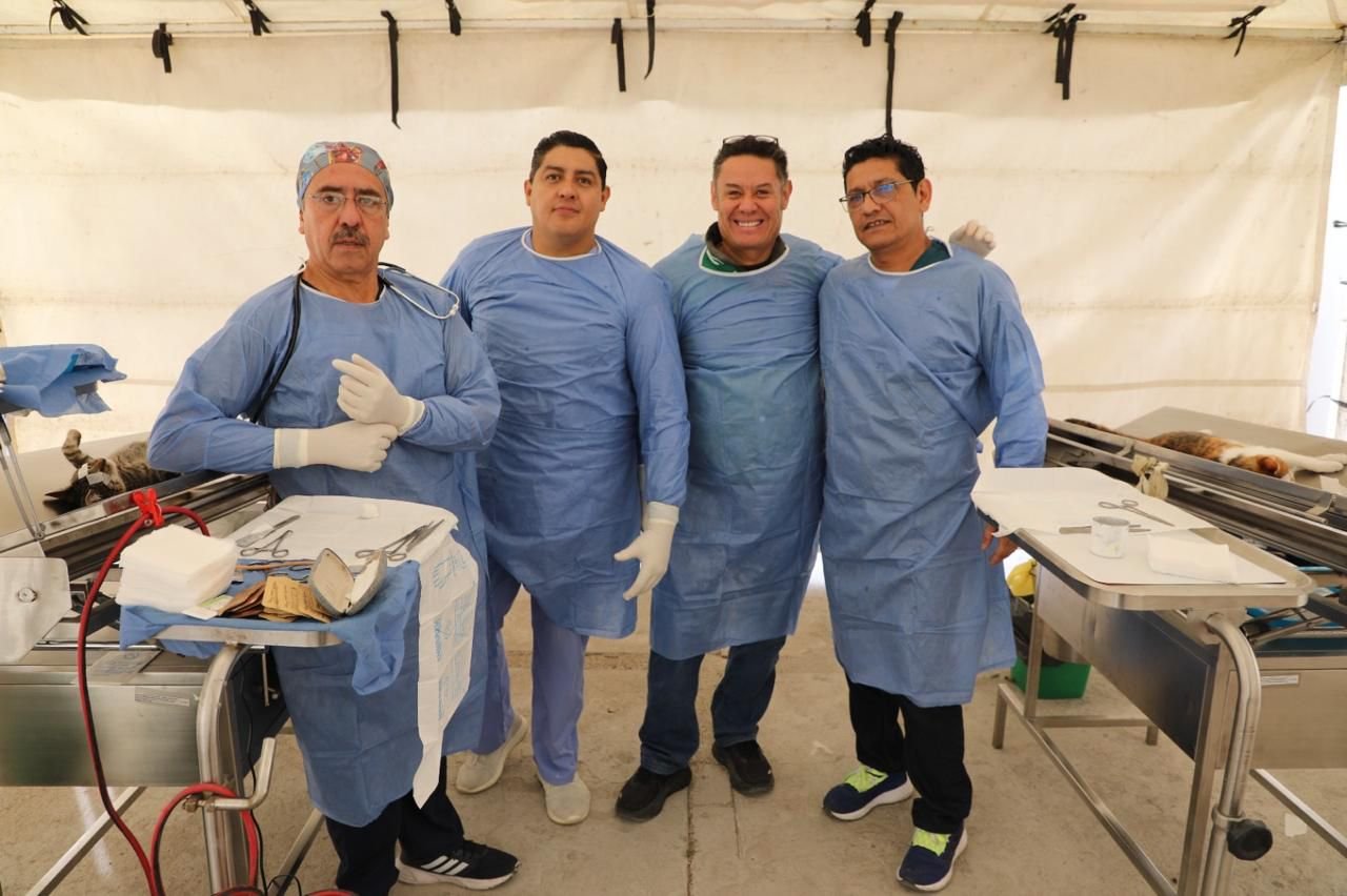 PROGRAMA “VISITANDO CORAZONES” AMPLÍA ATENCIÓN CON ESTERILIZACIONES DE MASCOTAS 