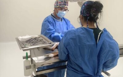 SAN LUIS POTOSÍ FORTALECE LA PROTECCIÓN ANIMAL CON TRABAJO CONJUNTO