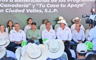 SAN LUIS REFUERZA VIGILANCIA SANITARIA PARA PREVENIR EL GUSANO BARRENADOR