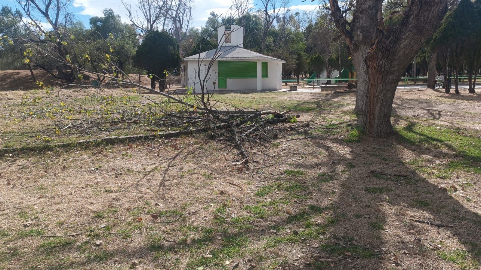 POR RÁFAGAS DE VIENTO, CIERRAN PARQUES TANGAMANGA