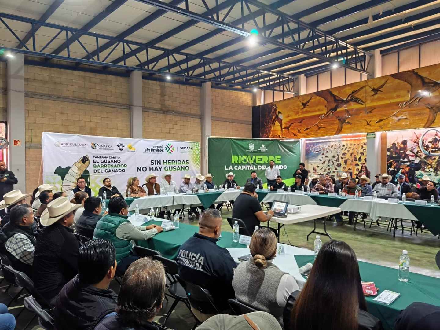 GOBIERNO ESTATAL REFUERZA PROTECCIÓN AL GANADO POTOSINO