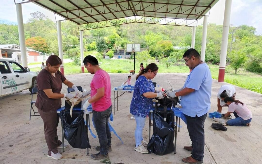 DÍA MUNDIAL DE LA ESTERILIZACIÓN