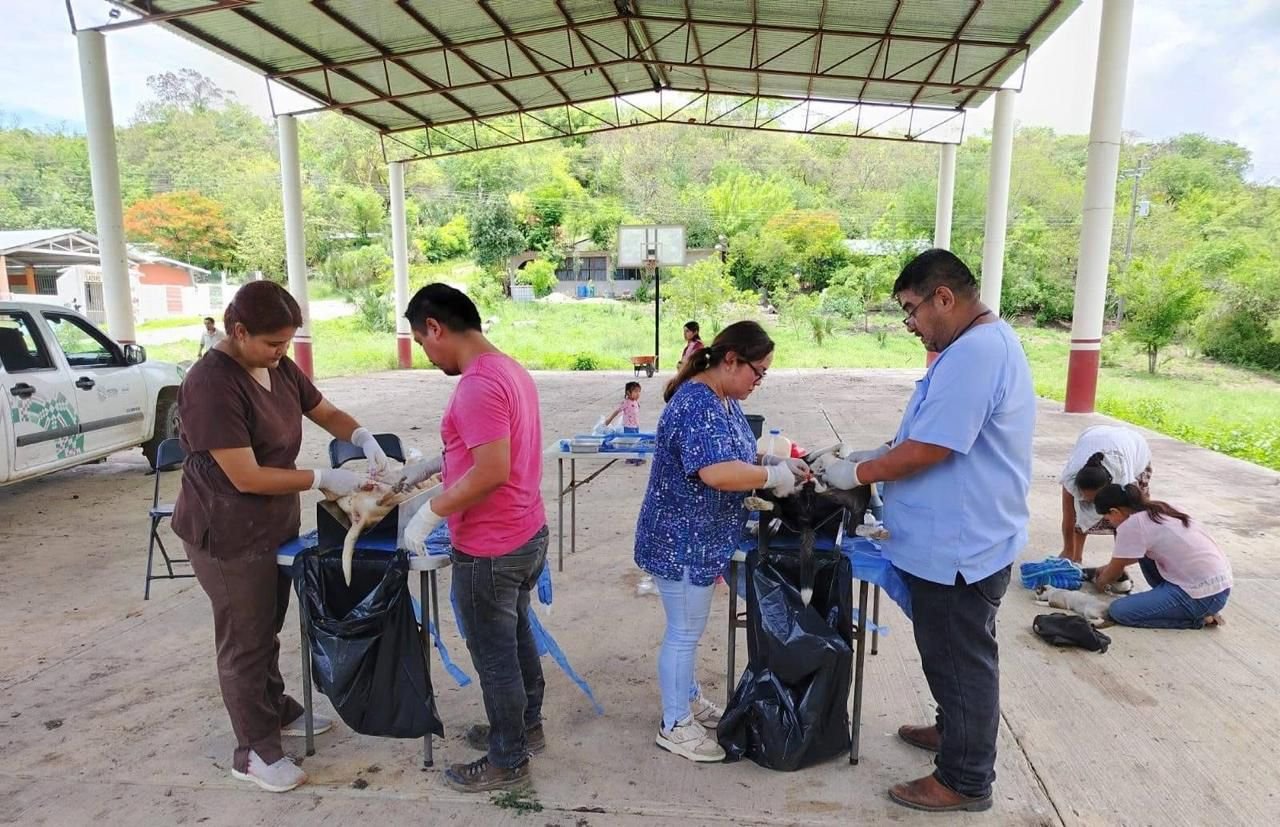 DÍA MUNDIAL DE LA ESTERILIZACIÓN