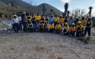 GOBIERNO ESTATAL LOGRA UNA DETENCIÓN POR INCENDIOS PROVOCADOS