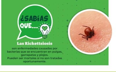SLP SE UNE A LA JORNADA NACIONAL DE PREVENCIÓN DE RICKETTSIOSIS