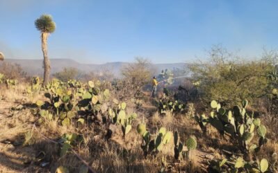 GOBIERNO ESTATAL DIFUNDE MEDIDAS PARA PREVENIR INCENDIOS FORESTALES