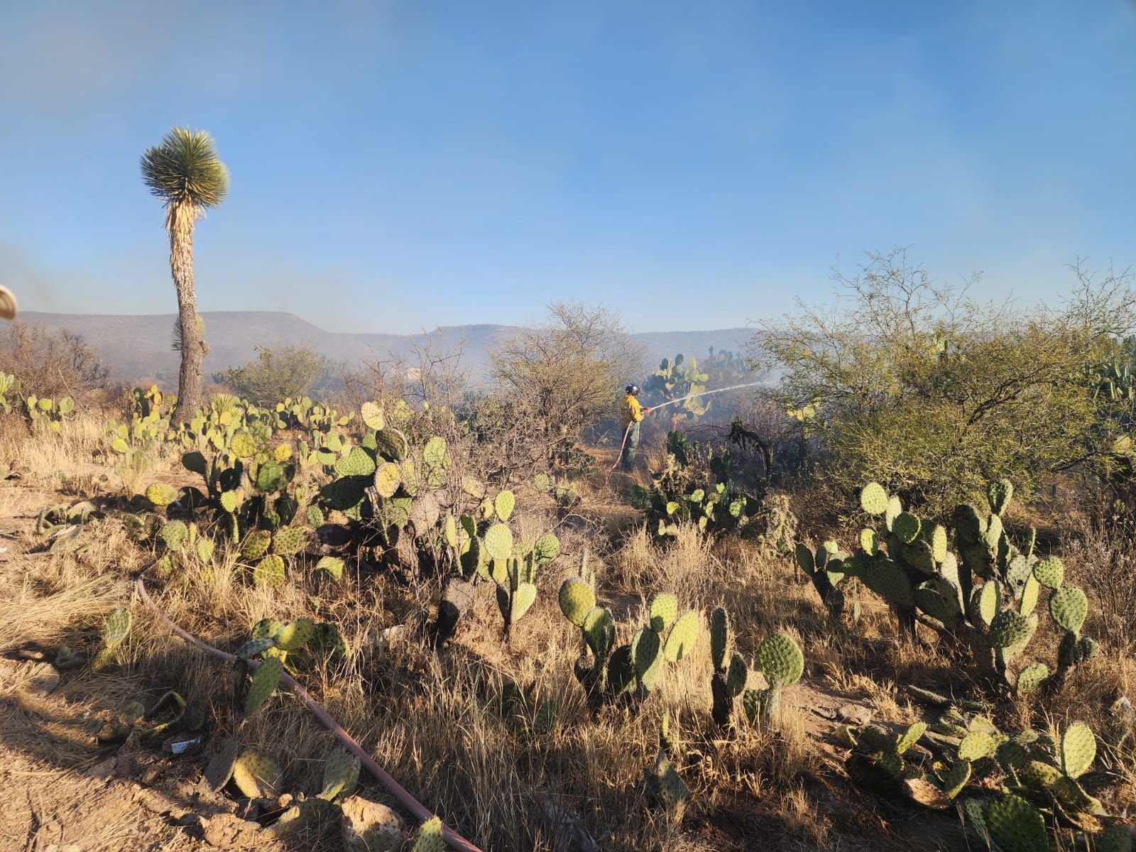 GOBIERNO ESTATAL DIFUNDE MEDIDAS PARA PREVENIR INCENDIOS FORESTALES