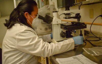 SAN LUIS ARRANCA 2026 CON MÁS Y MEJORES EMPLEOS