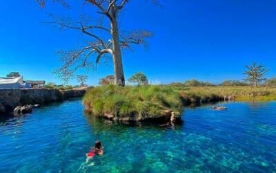 SAN LUIS AVANZA EN CONSERVACIÓN DEL MANANTIAL LOS PEROLES