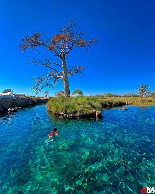 SAN LUIS AVANZA EN CONSERVACIÓN DEL MANANTIAL LOS PEROLES