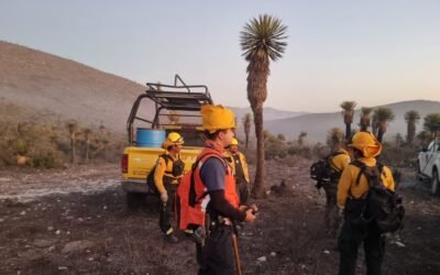 CON PRESENCIA INTERINSTITUCIONAL, SE ATIENDEN INCENDIOS EN CERRITOS, GUADALCÁZAR Y MEXQUITIC DE CARMONA