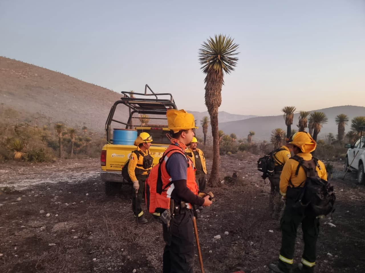 CON PRESENCIA INTERINSTITUCIONAL, SE ATIENDEN INCENDIOS EN CERRITOS, GUADALCÁZAR Y MEXQUITIC DE CARMONA