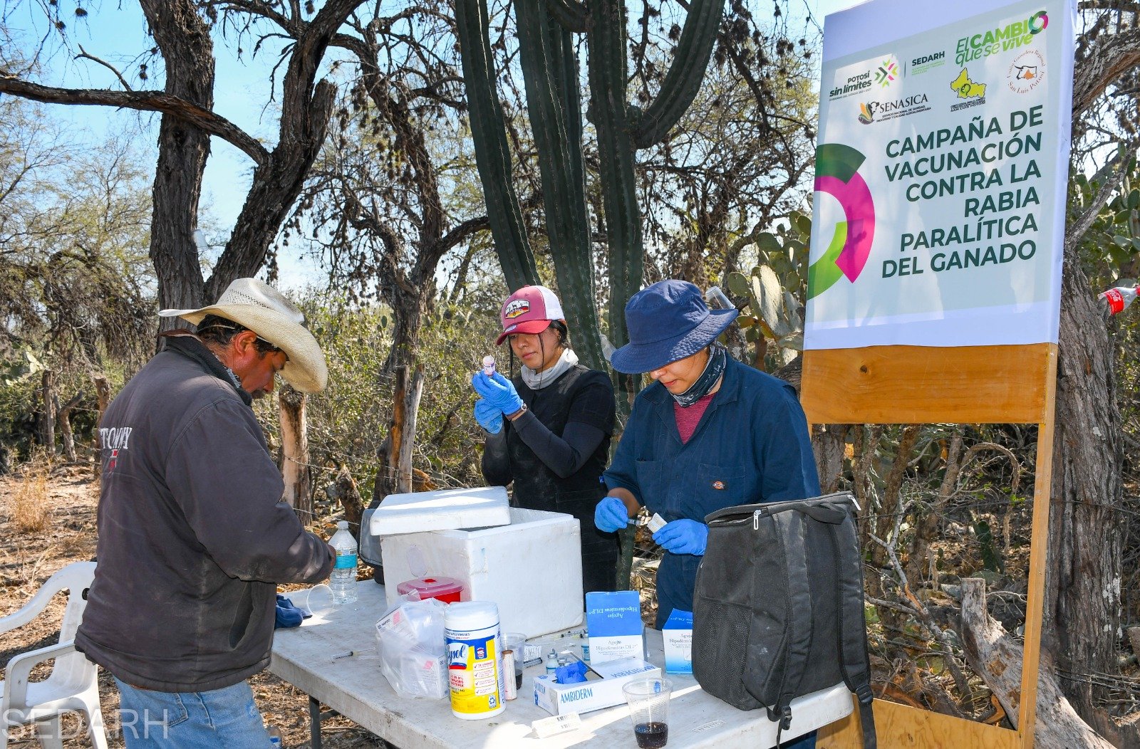 GOBIERNO ESTATAL ACTIVA CERCO SANITARIO CONTRA RABIA BOVINA