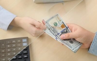 REMESAS Y APOYOS SOCIALES A FAVOR DE LAS FAMILIAS POTOSINAS