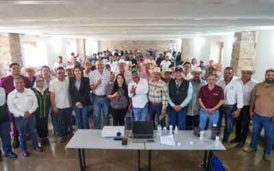 ESTADO FORTALECE ACCIONES CONTRA EL GUSANO BARRENADOR