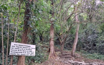 ESTADO ACOMPAÑA PREPARATIVOS DEL EQUINOCCIO EN COMUNIDADES ORIGINARIAS