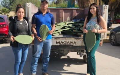 GOBIERNO ESTATAL IMPULSA REFORESTACIÓN Y APOYO AL CAMPO