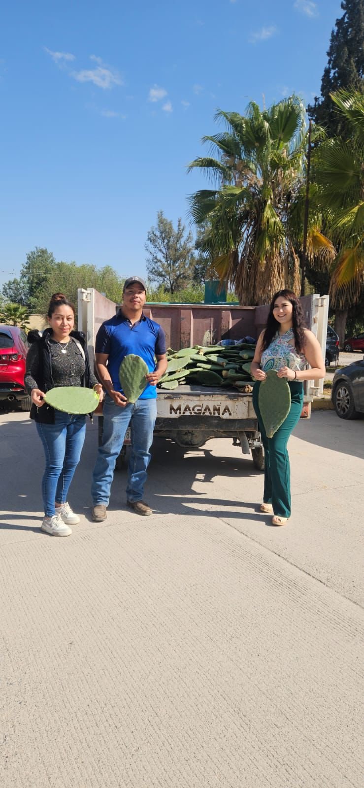 GOBIERNO ESTATAL IMPULSA REFORESTACIÓN Y APOYO AL CAMPO