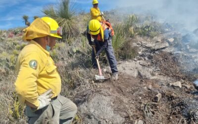 GOBIERNO ESTATAL REFUERZA ACCIONES ANTE TEMPORADA CRÍTICA DE INCENDIOS
