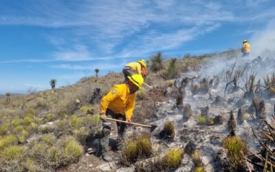 SAN LUIS FORTALECE ESTRATEGIA CONTRA INCENDIOS FORESTALES