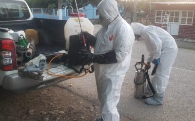 ESTADO REFUERZA PREVENCIÓN CONTRA GUSANO BARRENADOR