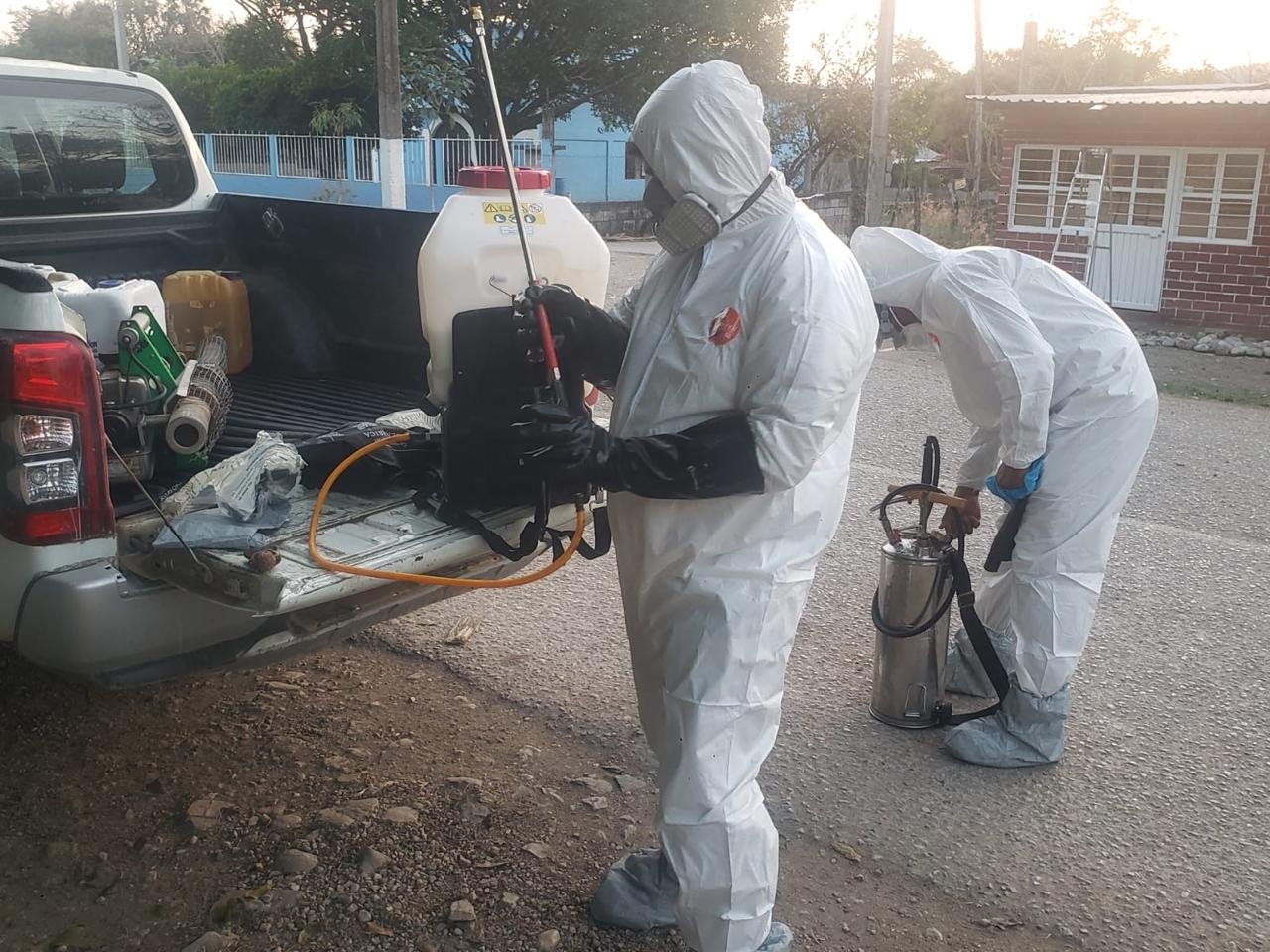 ESTADO REFUERZA PREVENCIÓN CONTRA GUSANO BARRENADOR