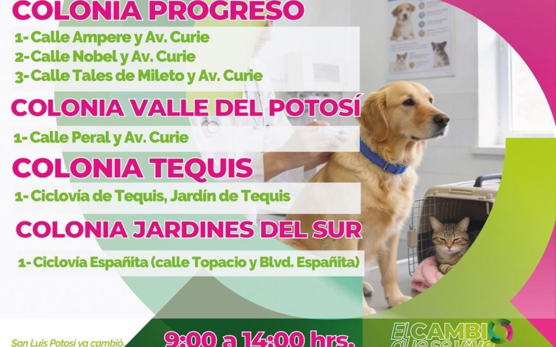 VACUNA A TUS MASCOTAS CONTRA LA RABIA