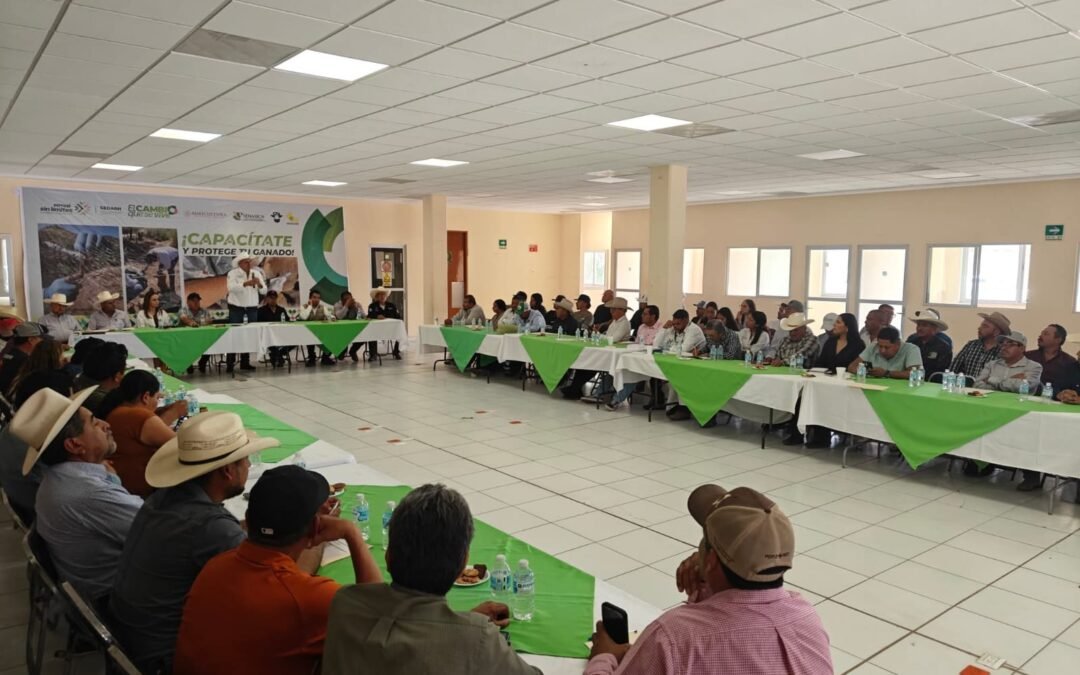 ESTADO AMPLÍA ACCIONES PREVENTIVAS CONTRA PLAGA DEL GUSANO BARRENADOR