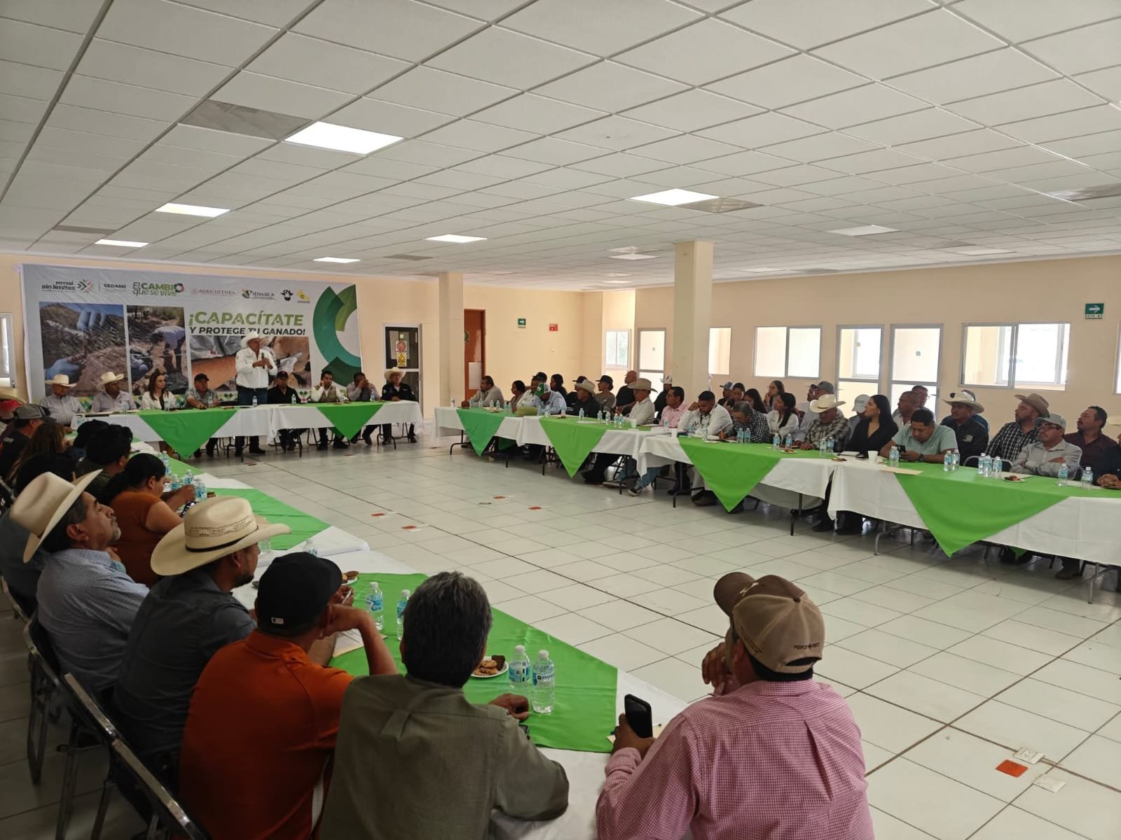 ESTADO AMPLÍA ACCIONES PREVENTIVAS CONTRA PLAGA DEL GUSANO BARRENADOR