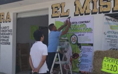 ESTADO REDOBLA ACCIONES CONTRA EL GUSANO BARRENADOR