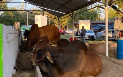 GOBIERNO ESTATAL IMPULSA AL CAMPO POTOSINO EN FENAHUAP 2026